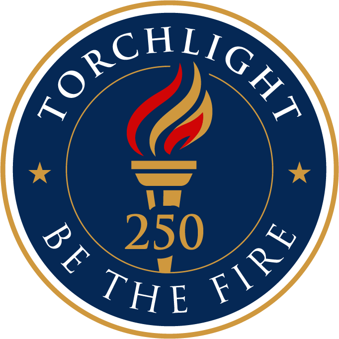 Torchlight 250
